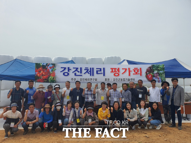 농업기술센터에서 강진 체리 연구회 회원들과 함께 품종별 시식회를 열었다/강진군청 제공
