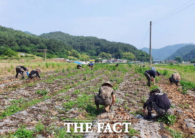 무안군청 제공/무안=홍정열 기자