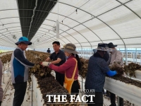  강진군 강진읍, 농촌 일손 돕기로 농가에 웃음 선물