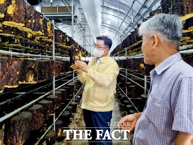 한국농수산식품유통공사 김춘진 사장(왼쪽)이 버섯놀이터 변산농장을 방문해 버섯 산업 활성화 방안을 논의했다. / aT제공