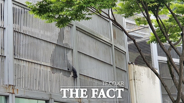 대전 오월드에서 한 원숭이가 철장에 매달려 먹이를 받아먹고 있다. / 대전충남녹색연합 제공