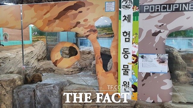 먹이주기 체험이 가능한 대전 아쿠아리움의 미니동물원. / 대전충남녹색연합 제공
