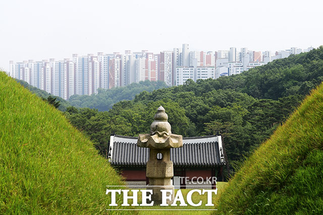 세계 문화 유산, 장릉 너머로 보이는 신도시의 아파트 단지들.