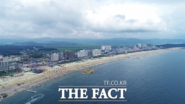 대천해수욕장 모습 / 보령시청 제공