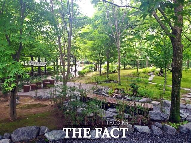 함양 상림공원내 이끼원 모습/함양군 제공