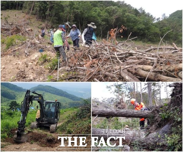서부지방산림청은 지난 22일부터 17일 동안 조림 및 숲가꾸기 사업장에 대한 사전 정비에 나섰다. /서부지방산림청 제공