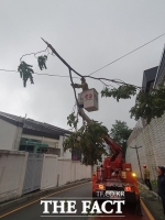  '가로수  넘어지고'…28일 부산 곳곳서 강풍 피해 6건