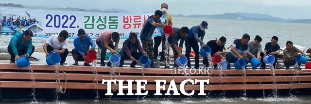함평군이 수산자원 조성 및 어업인 소득 증대를 위해 함평만 연안 해역에 전염병 검사를 마친 건강한 감성돔 치어 22만 마리를 방류했다./함평군 제공