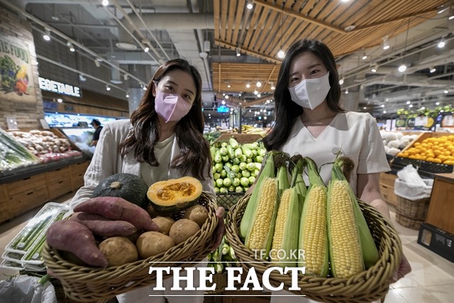 AK플라자는 분당점에서 내달 1일부터 3일까지 해남미소 농특산물 상생장터 행사를 개최한다. /AK플라자 제공