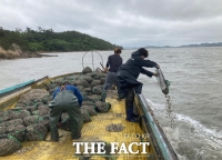  신안군, 패류 14t 방류…어업인 소득향상 기대