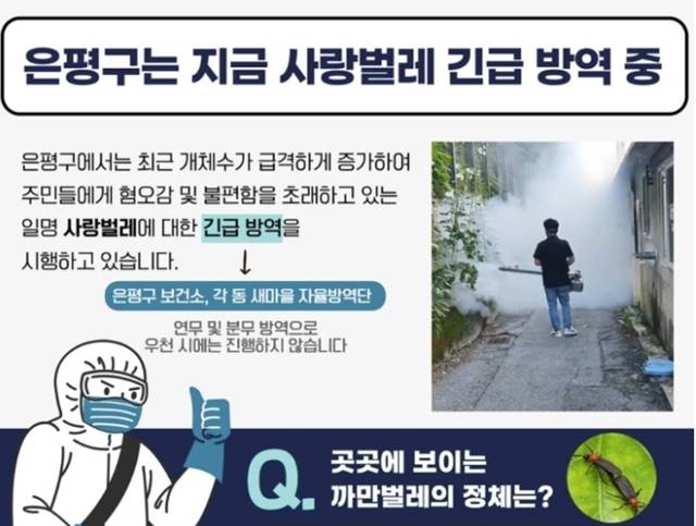 3일 서울 은평구는 최근 개체수가 급격히 증가한 러브버그에 대해 긴급 방역을 시행 중이라고 밝혔다. /은평구청 제공
