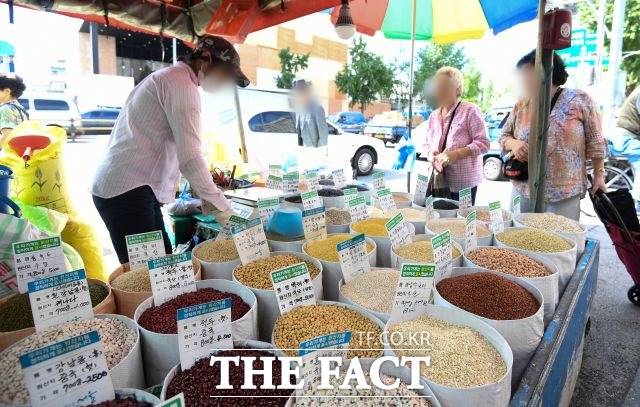 3일 한국농촌경제연구원 농업관측센터의 국제곡물 7월호 보고서에 따르면 3분기 곡물 수입 단가지수는 식용 184.8, 사료용 178.4로 전망된다. /더팩트 DB
