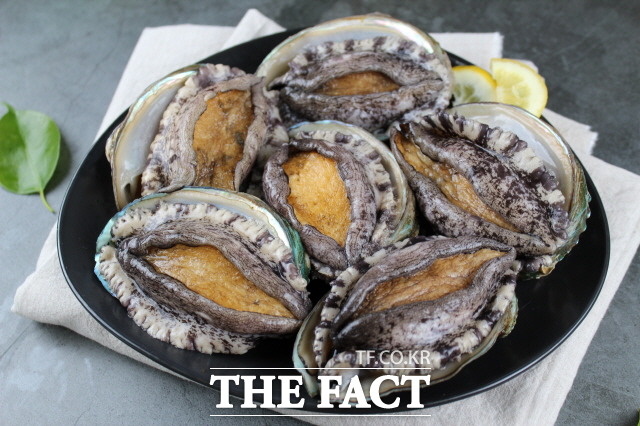 완도 산 전복/완도군 제공