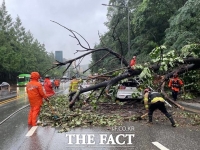  3년간 풍수해 안전조치 2200건…가로수·간판 순