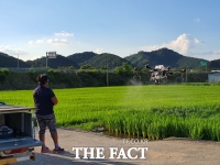  [전남 단신] 장성군, 벼 병해충 공동방제 사업 추진