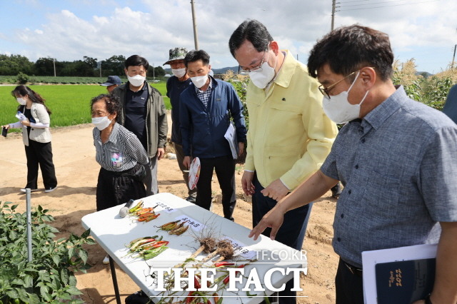 농정현장방문(고추 방제)/해남군 제공