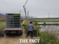  진도군, 도서 지역 못자리 실패 농가에 예비모 지원