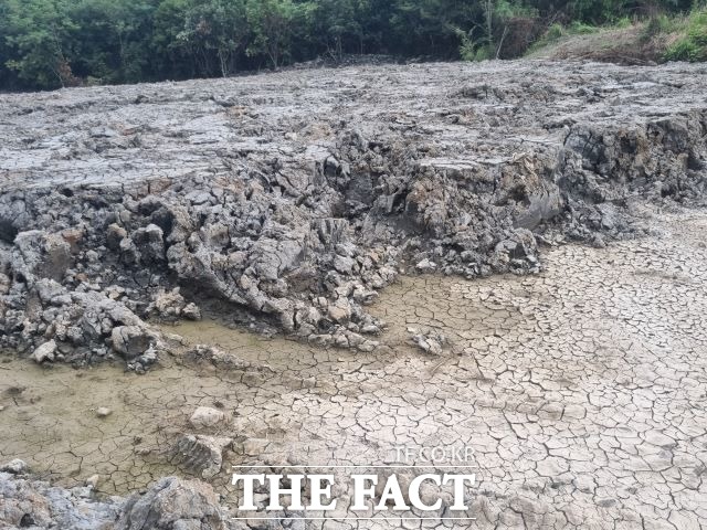 아파트건설 현장 인근 야산 계곡에 불법 매립되고 있는 갯벌은 1.5m~4m 두께로 수 천 평 크기의 넓이에 버려져 있다. /광양=유홍철 기자