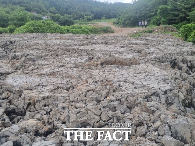광양시내 아파트 건설현장에서 터 파기 공정에서 나온 갯벌 수 천 톤이 인근 산 계곡에 아무런 허가 절차없이 버려지고 있어 각종 법 위반 논란을 빚고 있다. /광양=유홍철 기자