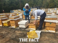 해남군 “꿀벌 월동 관리는 여름부터”현장 지도 강화 나서