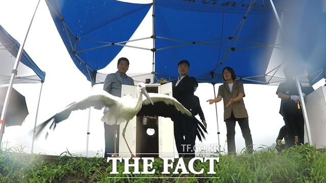 최재구 예산군수(오른쪽)와 이상우 예산군의회 의장(왼쪽)이 황새를 방사하고 있다. / 예산군 제공