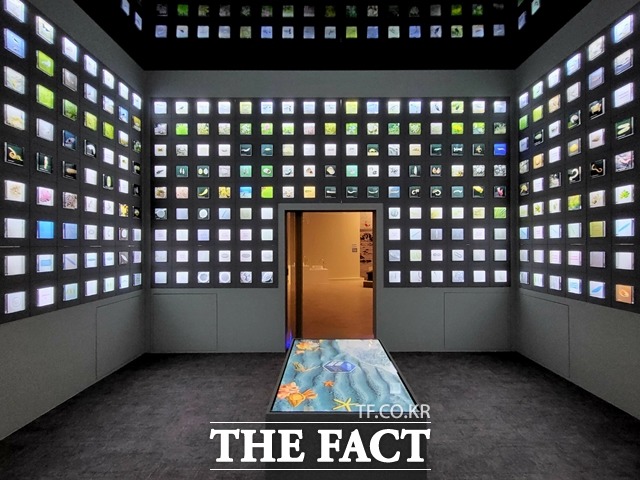 보령해양머드박람회장 내 해양머드주제관에 갯벌에 서식하는 562종의 생물을 안내하고 있다. / 보령 = 김아영 기자