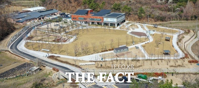 대전시는 반려동물과 함께하는 물놀이장을 운영한다. 대전반려동물공원 모습 / 대전시 제공