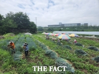  아산시, 외국인 계절근로자 85명 농가 배치