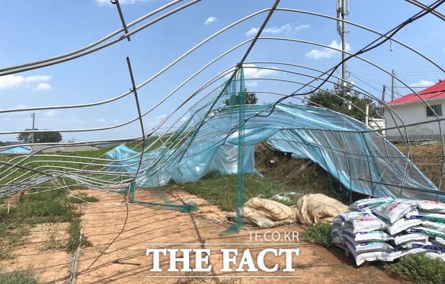 이학수 시장은 “본격적인 여름철 폭염으로 인한 농업재해가 예상되므로 농작물과 시설피해를 최소화할 수 있도록 재해 예방 대책 마련에 총력을 기울일 것”이라며 “농민들도 피해 최소화를 위해 자발적으로 농업재해 예방에 동참해달라”고 당부했다. / 정읍시 제공