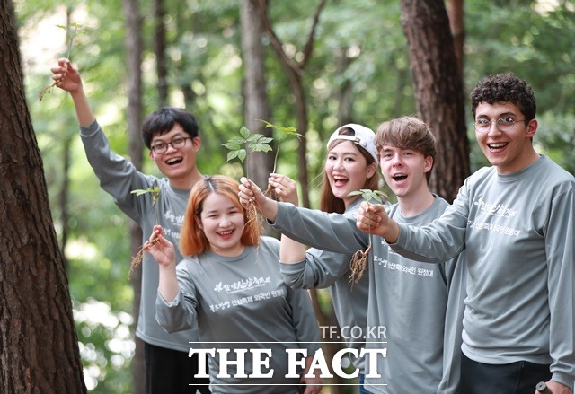 함양산삼축제에서 외국인 원정대가 산삼캐기체험을 하고 있다./함양군 제공