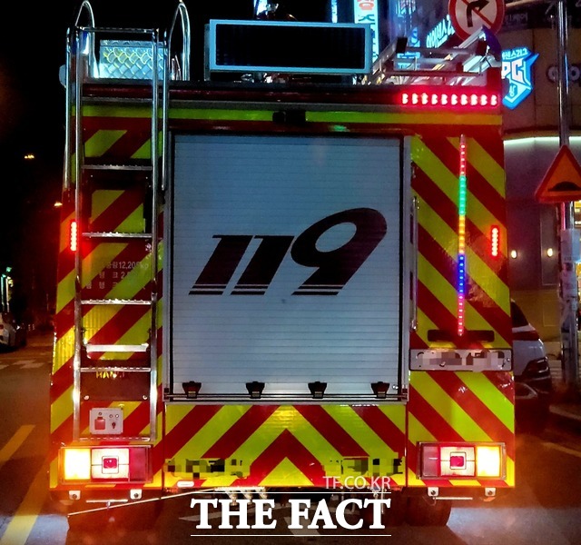 사진은 기사와 무관함 / 더팩트 DB