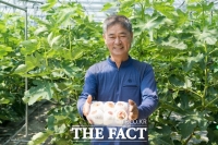  해남군, 크레오파트라의 귀족 과일‘무화과’수확 한창