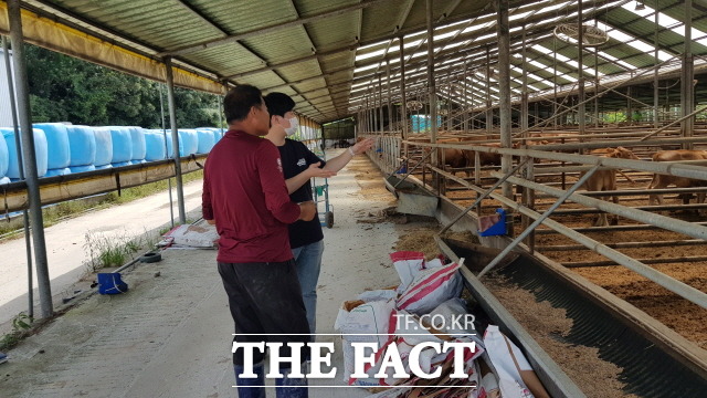 해남군이 폭염예방 축사 현장관리에 나섰다/해남군 제공