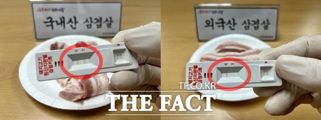 서울시 민생사법경찰단이 돼지고기 원산지 특별점검을 실시한다. 원산지 판별 키트는 지난해 국립농산물품질관리원에서 개발한 검사 도구로 현장에서 10분 만에 원산지를 판별할 수 있다. /서울시 제공