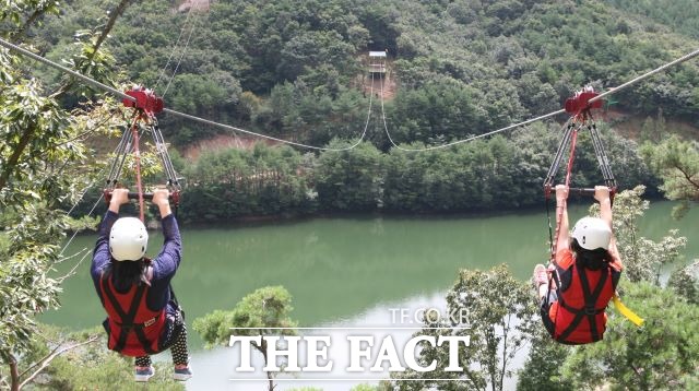 제암산자연휴양림을 찾은 체험객들이 짚라인을 즐기고 있다. /보성군 제공