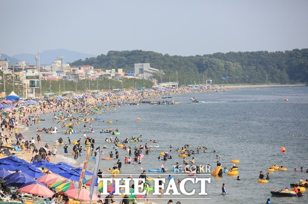 대천해수욕장이 야간 개장한다. /보령시청 제공