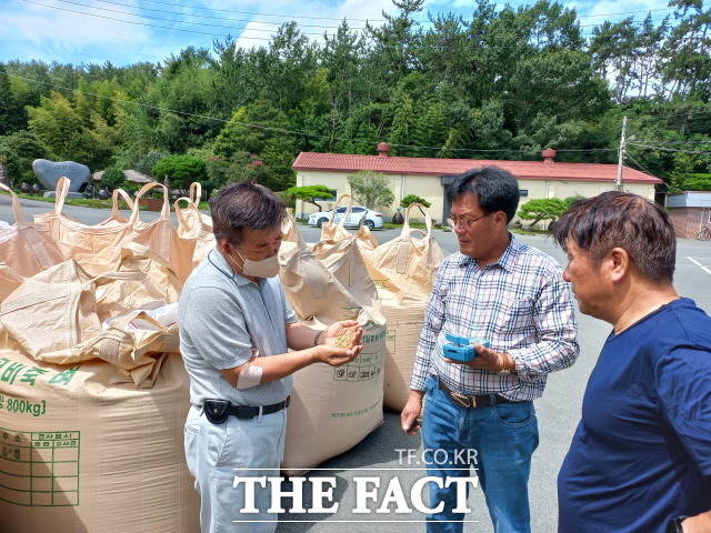 강진군 신전면 영동농장에서 유기농 겉보리 품질검사를 실시하고 있다/강진군 제공