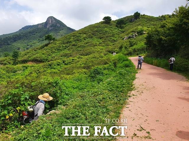 산청군 황매산 철쭉 군락지 정비사업으로 등산로 일부가 통제된다./산청군 제공
