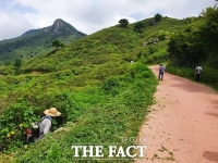  산청군, 황매산 철쭉 군락지 정비사업… 등산로 일부 통제