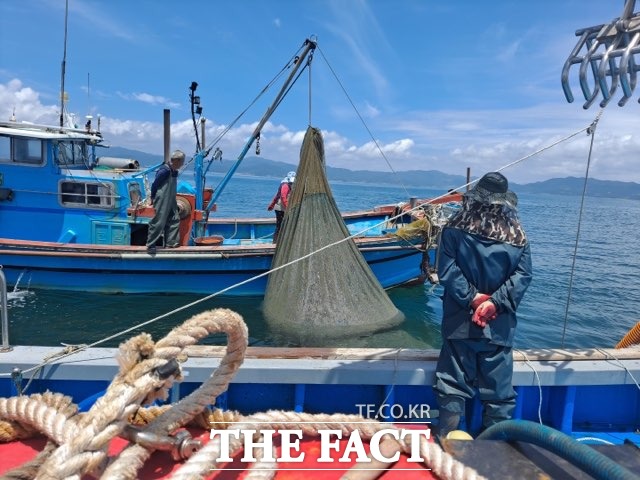 고흥군은 보름달물해파리 구제작업에 나서 20여일 동안 작업 끝에 624톤을 제거했다. /고흥군 제공