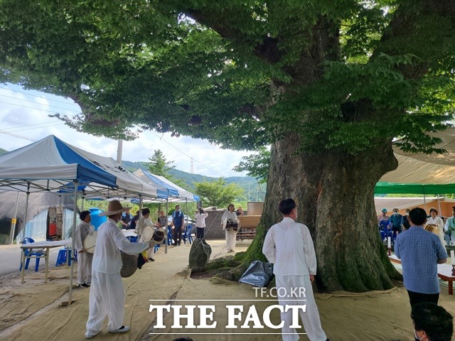 천년 느티나무 앞에서 마을 풍장패가 칠석제 분위기를 끌어 올리고 있다. /예산군 제공