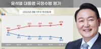  尹 대통령, 지지율 29.3%로 전주 대비 3.8%포인트 하락