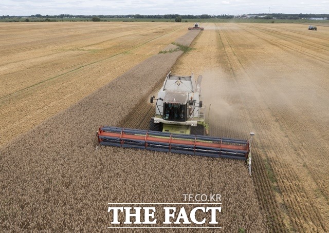 9일(현지시간) 우크라이나 즈흐리우카의 밀밭에서 농민들이 밀을 수확하고 있다. /AP.뉴시스
