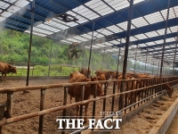  부여군, 축산농가 특별사료 구매자금 61억원 지원