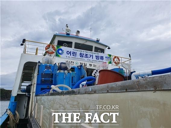 인천시 수사자원연구소가 11일 오전 연평도 해역에서 어린 참조기 30만 마리를 방류했다. 사진/수산자원연구소 제공