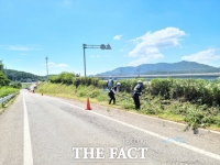  해남군 직영 풀베기단 운영...더 깨끗한 해남 만들기 구슬땀
