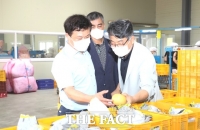  정읍시, 고품질 ‘정읍 배’ 인도네시아 첫 수출길 올라