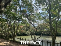  장흥의 기념물 “송백정 배롱나무 군락지” 정비 나서