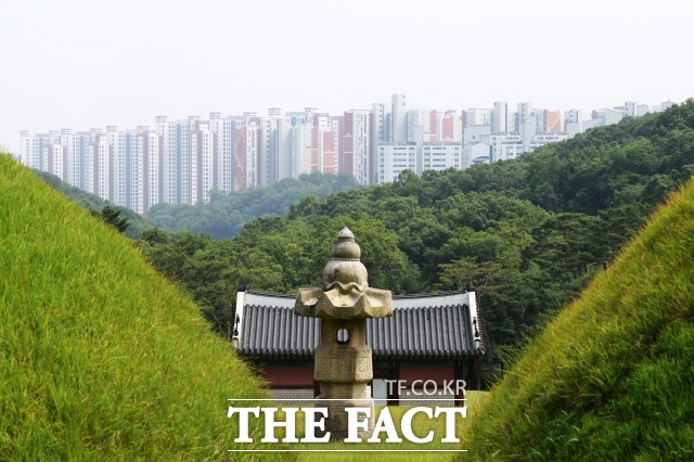 유네스코에 등재된 문화재 김포 장릉에서 인천 서구 검단신도시의 아파트 단지들이 보이고 있다. /남윤호 기자