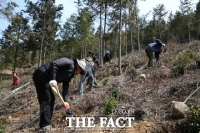  해남군, 200만 그루 나무 심기 탄소흡수원 확보 나서